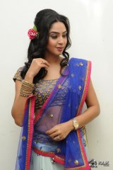 Angana Roy at Srimanthudu Movie Audio Launch